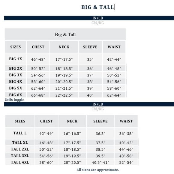 Polo Ralph Lauren- Short Sleeve T- Shirt - Size 1XB - Picture 4 of 4